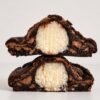 Cocco noir MORDO